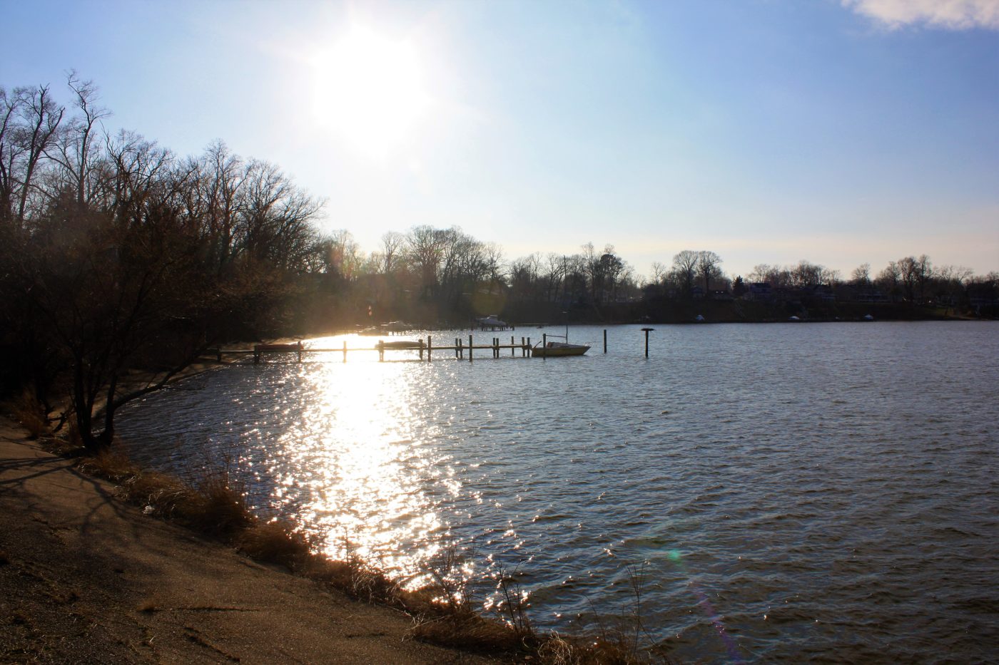 History Sylvan Shores Services Company, Inc. Sylvan Shores Services